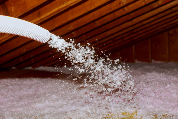 Best Types of Insulation in Hahnville, LA