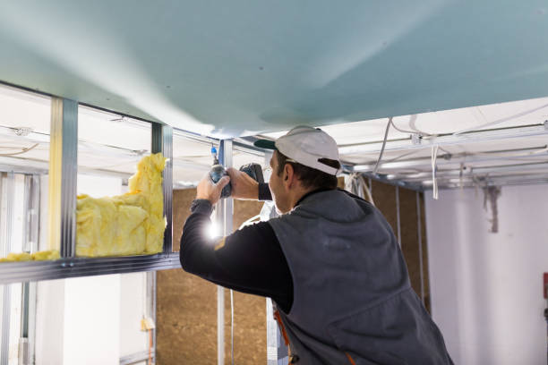 Best Commercial Insulation in Hahnville, LA